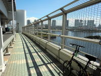 rainbow bridge