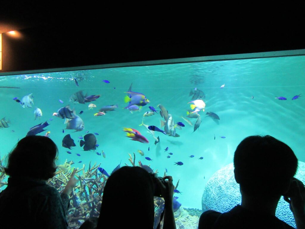 Tokyo Fringe Tour Kasai Aquarium